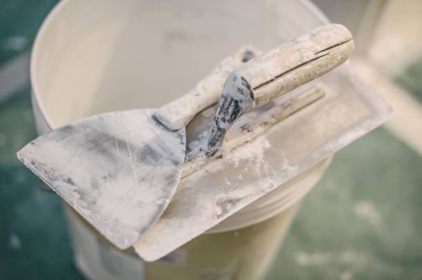 Best Commercial Mold Inspection  in Arlington, GA